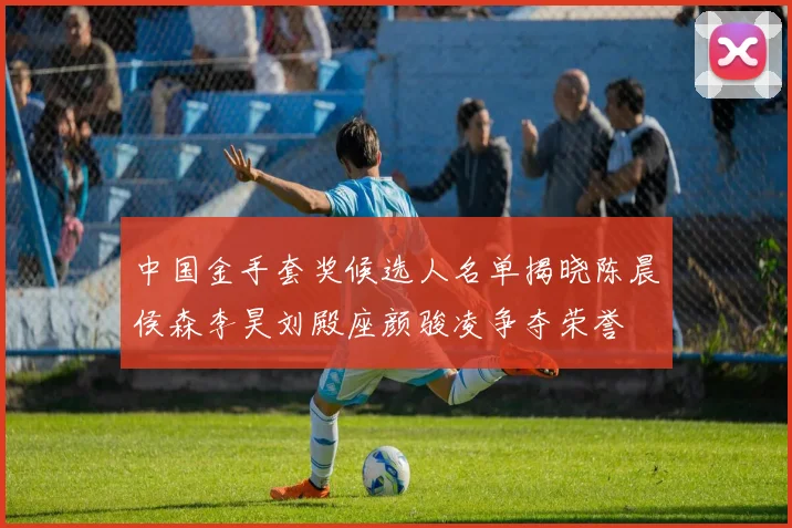 中国金手套奖候选人名单揭晓陈晨侯森李昊刘殿座颜骏凌争夺荣誉