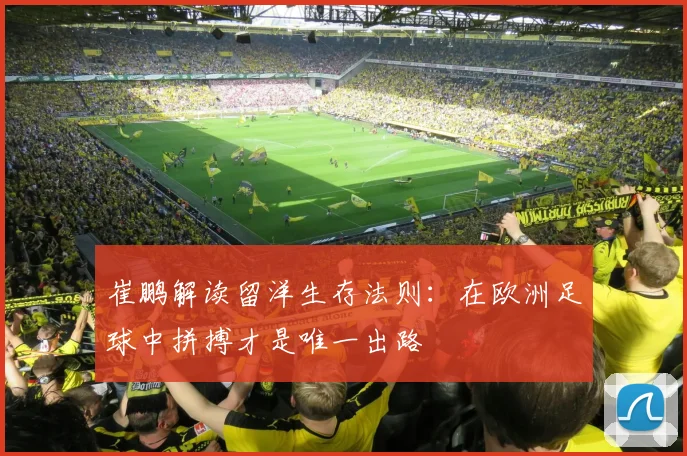 崔鹏解读留洋生存法则：在欧洲足球中拼搏才是唯一出路