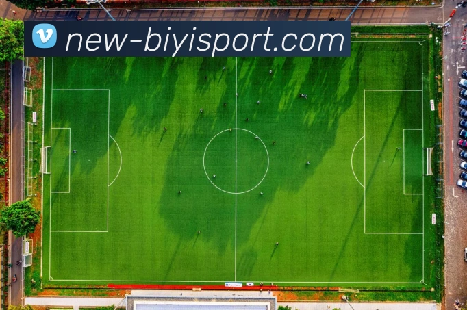 必一体育平台生态图